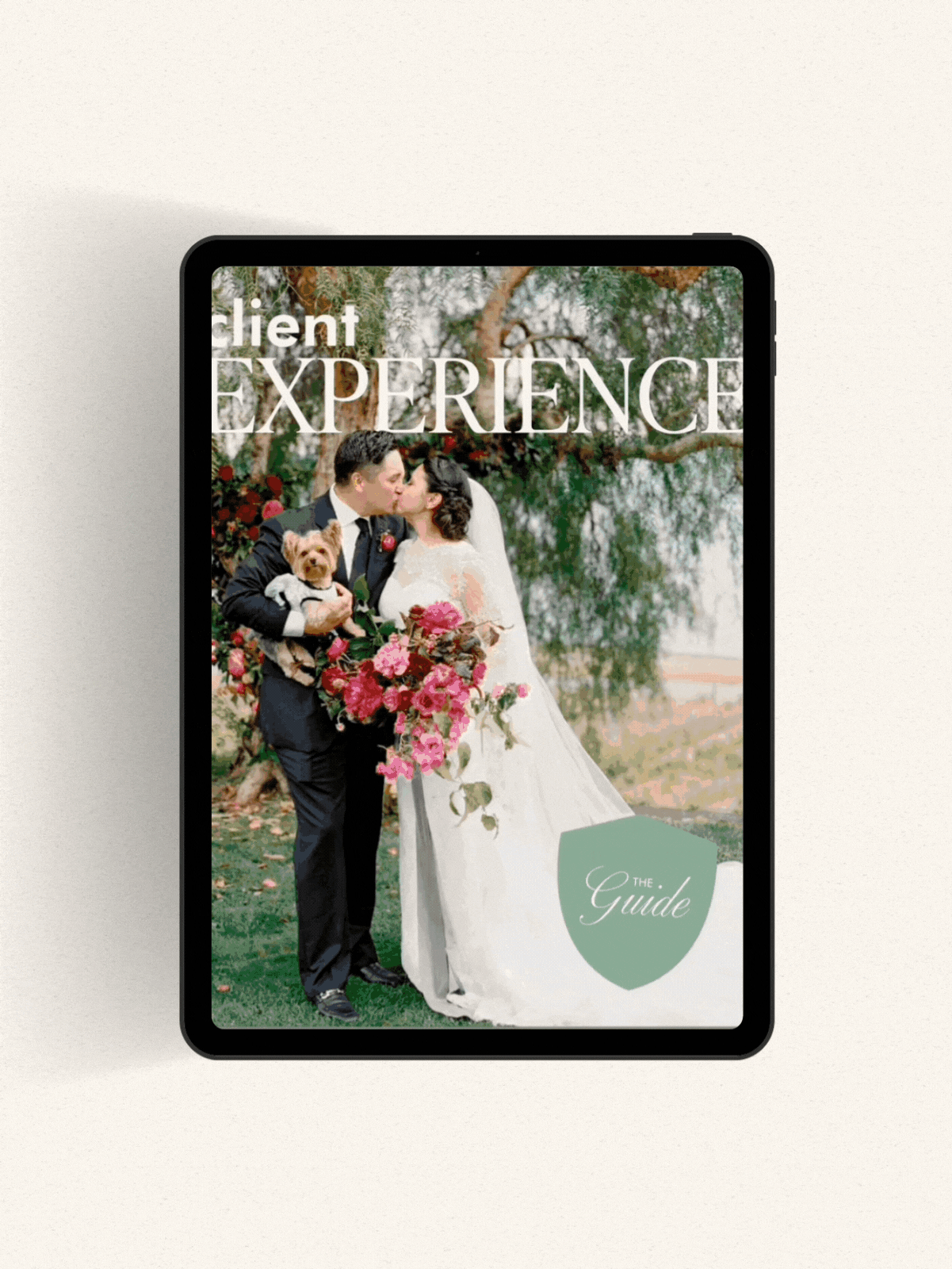 The Client Experience Guide