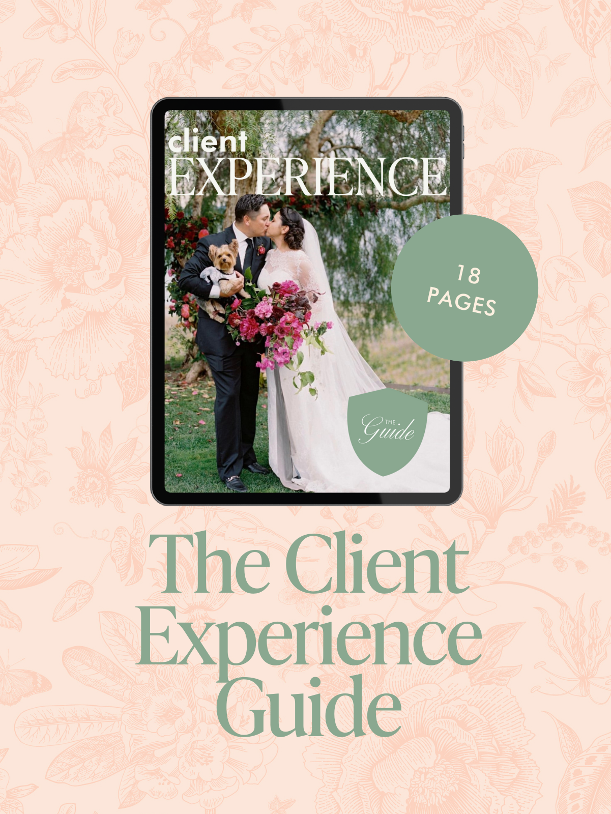 The Client Experience Guide