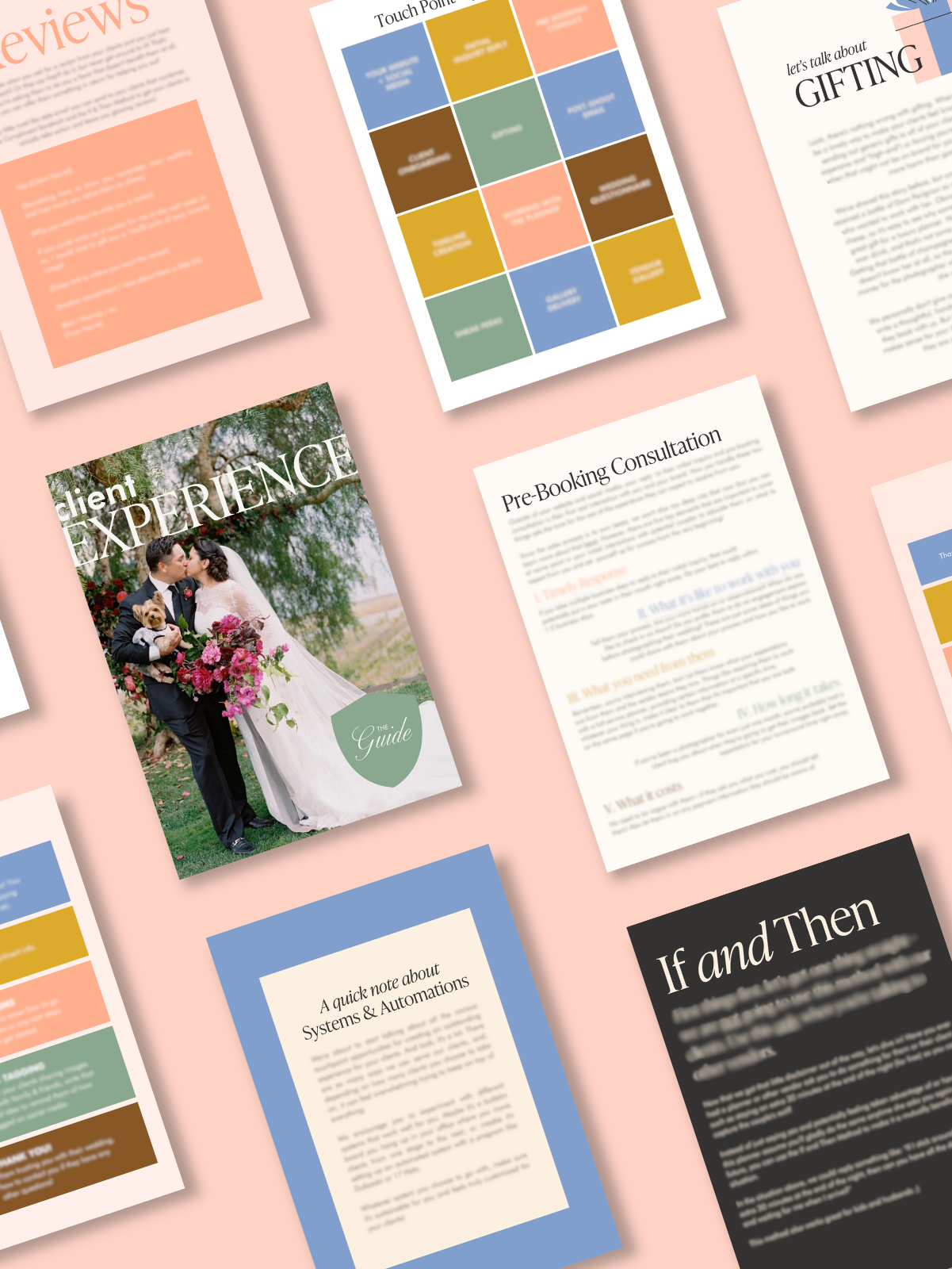 The Client Experience Guide